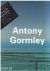 Anton Gormley