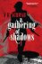 V.E. Schwab - A gathering of shadows / Shades of magic series / 2