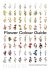 Taylor Putnam; Michael Putnam - Flower Colour Guide