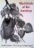 Orians, Gordon H.  Tony Angell (drawings) - Blackbirds of the Americas