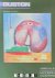 Guston  (Philip Guston)
