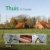 Twente / Thuis in
