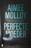 Aimee Molloy - Perfecte moeder
