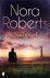 Nora Roberts - Nachtwerk