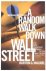 Burton Gordon Malkiel - A Random Walk Down Wall Street Revised And Updated