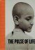 GOLLONET, Carlos [Ed.] - The Pulse of Life - Portraits. Fundación MAPFRE Collections. - [New].