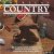 American country, a style a...