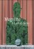 Magritte A Lab of Ideas: Wo...
