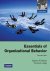 Essentials of Organizationa...