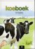 Koeboek