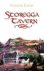 Exner, Victoria - Storegga Tavern