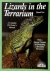 Lizards in the terrarium: A...