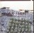 Fabre, Jan  Jo Coucke - Battlefields  Beekeepers