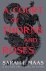 Sarah J. Maas - A Court of Thorns and Roses