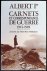 Marie Rose Thielemans - Carnets et correspondance de guerre : 1914-1918  Albert Ier