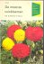 Rein, G. - De mooiste tuinbloemen