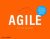 Rini van Solingen - Agile