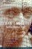Human Language and Our Rept...