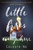 NG,  Celeste - Little Fires Everywhere