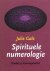 Spirituele Numerologie . ( ...