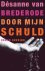 Desanne Van Brederode - Door mijn schuld