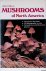 Mushrooms of North America