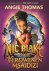 Angie Thomas - Nic Blake en de verdwenen Msaidizi