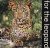  - For the Leopard