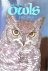 Steyn, Peter - A Delight of Owls: African Owls Observed