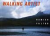 FULTON, H. - Walking Artist