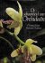 De schoonheid van Orchideeen