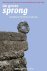H. Korteweg & Hanneke Korteweg-Frankhuisen & J. Voigt - De grote sprong