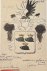 [family crest]. - Wapenkaart/Coat of Arms: Preparatory drawing coat of arms Rutgers, 1 p.