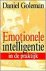 Emotionele intelligentie in...