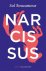 Bouzamour, Sol - Narcissus