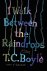 Boyle, T. Coraghessan - I walk between the raindrops