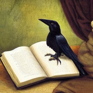 Logo Roekenmetboeken