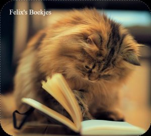 Logo Felix's boeken