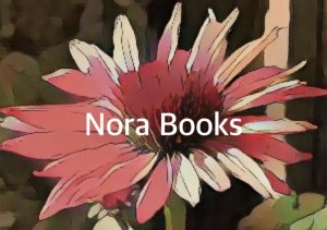 Logo Nora Books