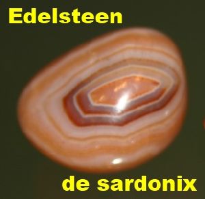 Logo Uitgeverij De Sardonix