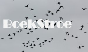 Logo BoekStroe