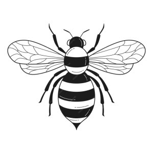 Logo Bee's books