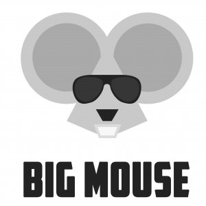 Logo BigMouseBoeken
