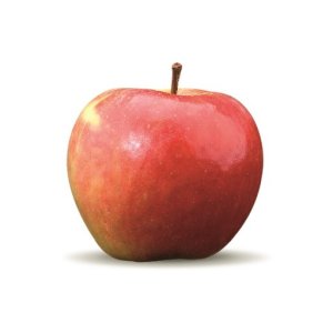 Logo appeltje