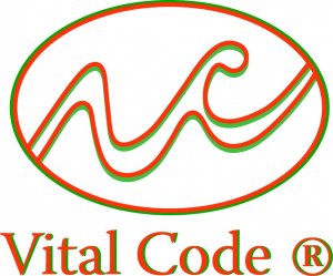 Logo Vital Code