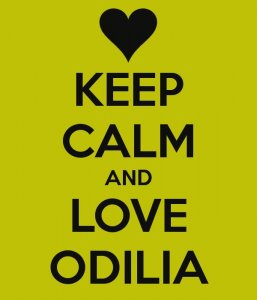 Logo Odilia