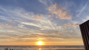 Logo Jelske Boonstra